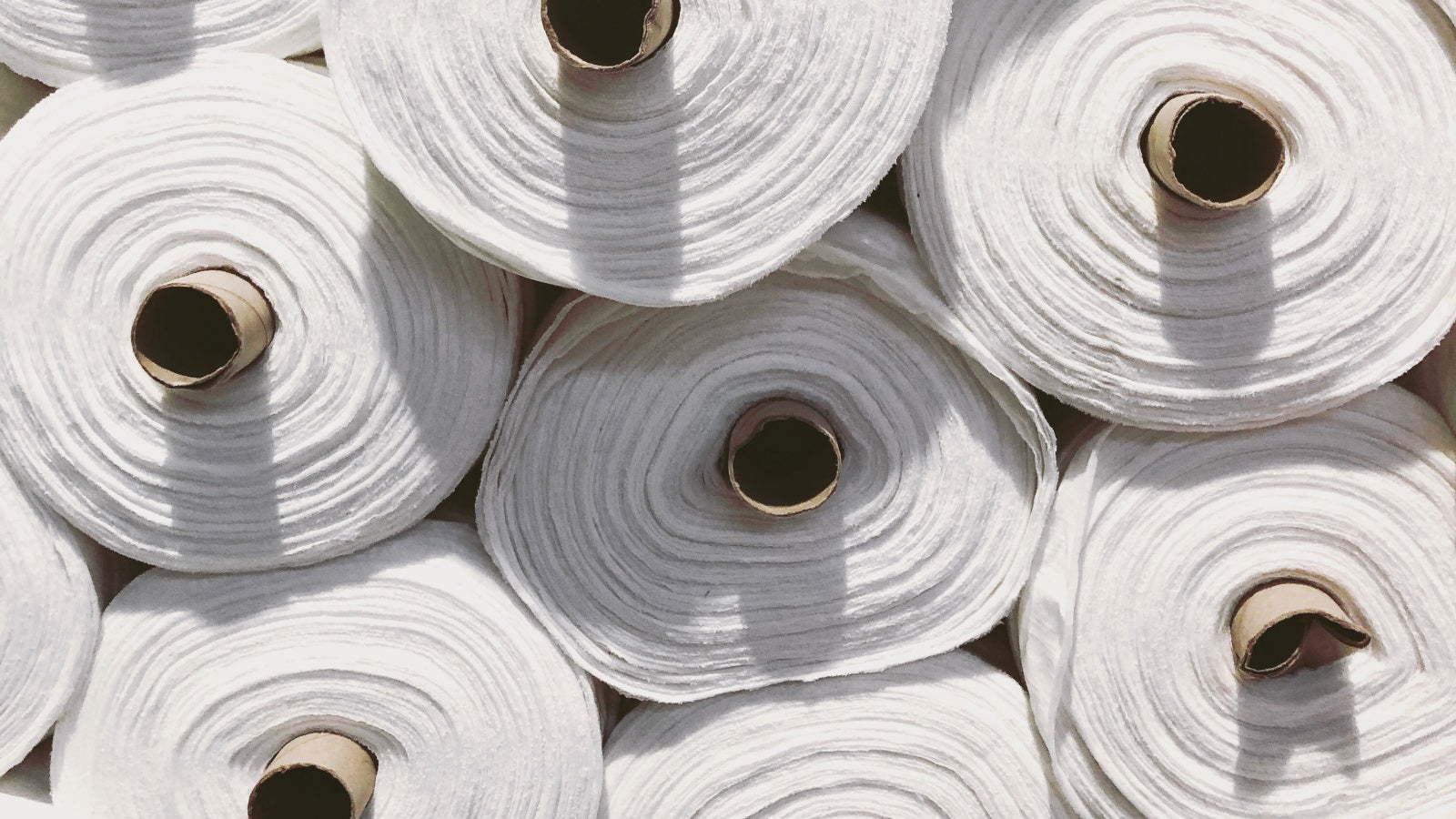 nos engagements productions bio suny