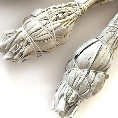 sauge blanche, purificateur naturel des maisons nettoyage spirituel