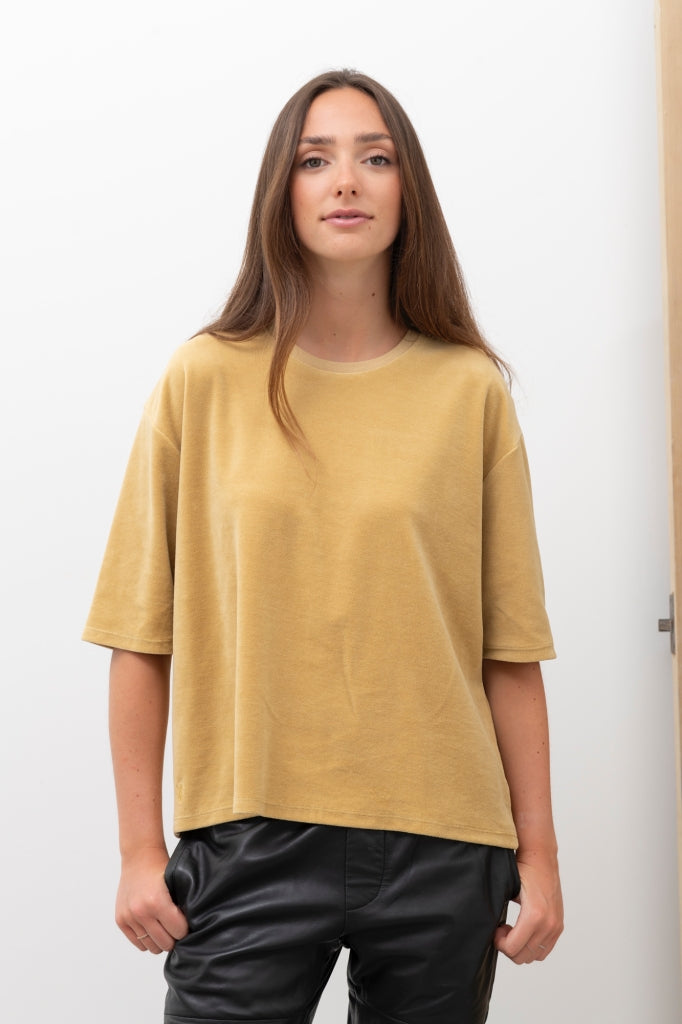 Tee-shirt HERMINE en velours miel – coton bio doux et lumineux